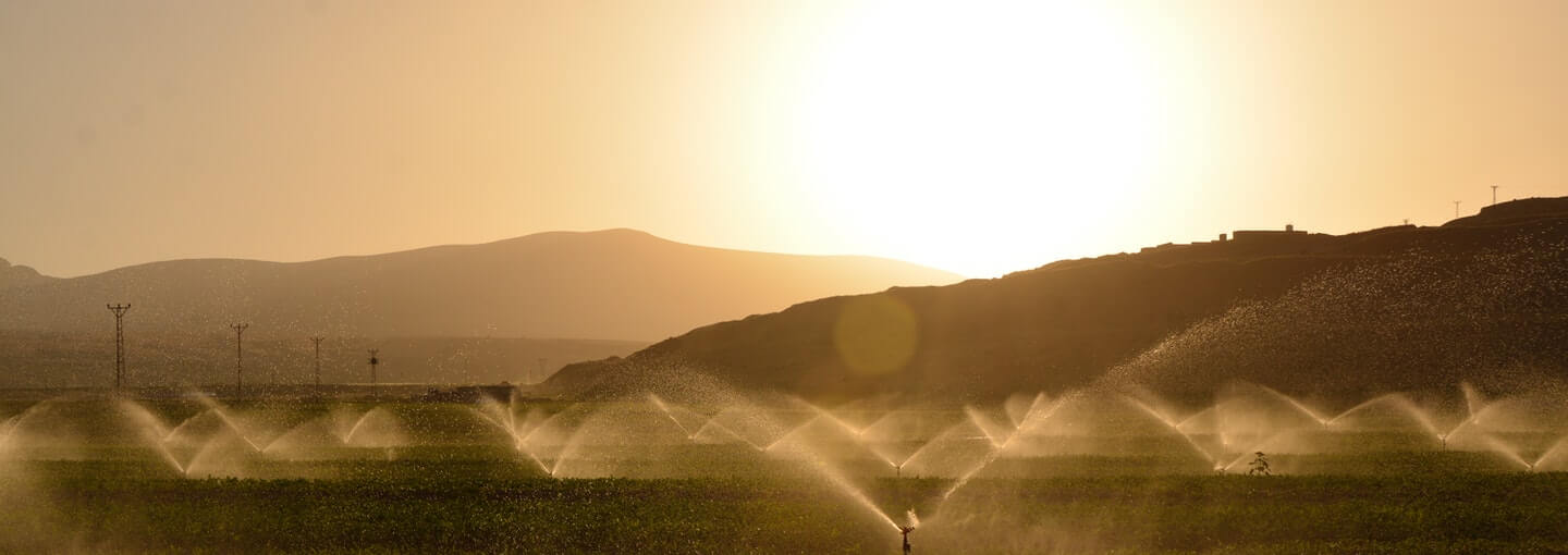 irrigation-system